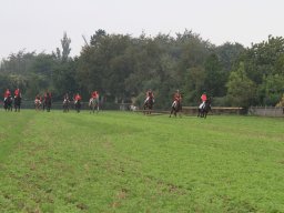 img_5996_web